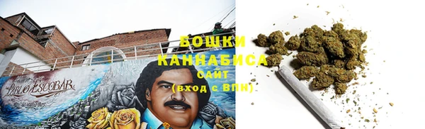 Альфа ПВП Белокуриха