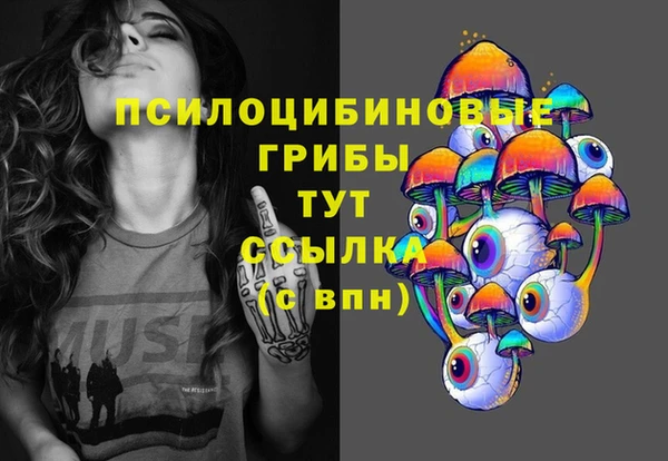 Альфа ПВП Белокуриха