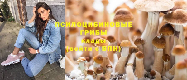 прущая мука Беломорск