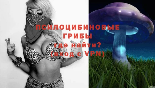 первитин Белоозёрский