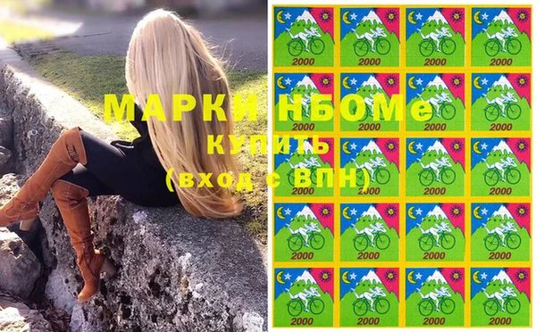 Альфа ПВП Белокуриха