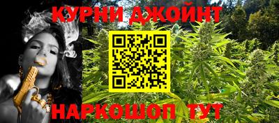 гидра Бийск