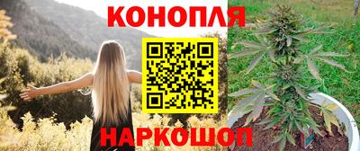 стафф Дубна
