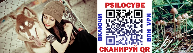 Псилоцибиновые грибы Psilocybine cubensis  мориарти телеграм  Вятские Поляны  где купить наркоту 