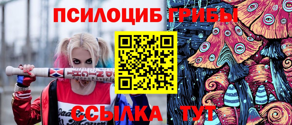 Псилоцибиновые грибы ЛСД Вятские Поляны