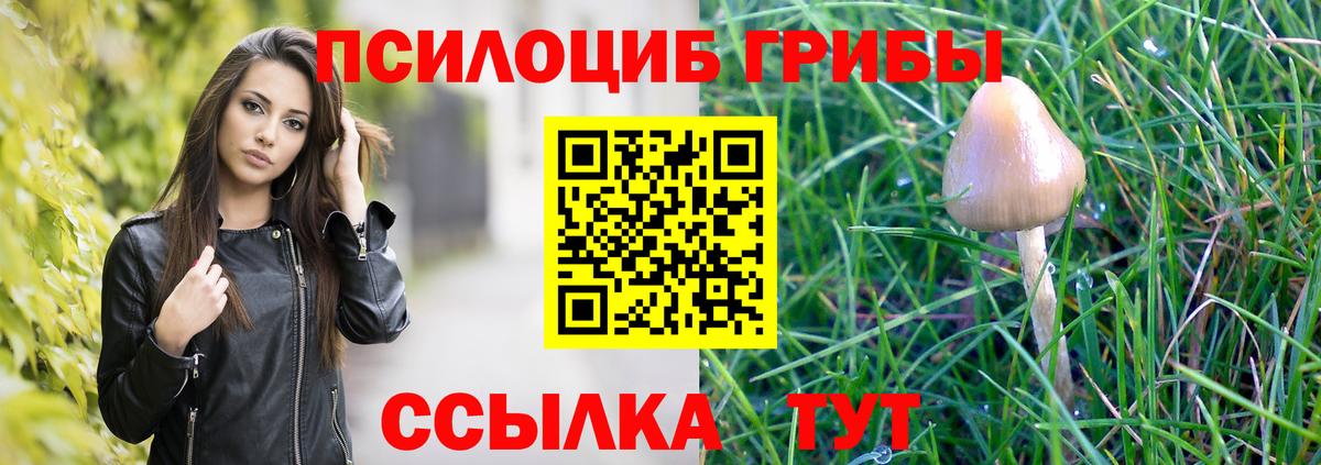 Псилоцибиновые грибы Magic Shrooms  Вход с VPN  Вятские Поляны 