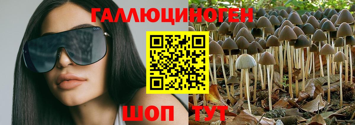 Галлюциногенные грибы мухоморы Вятские Поляны